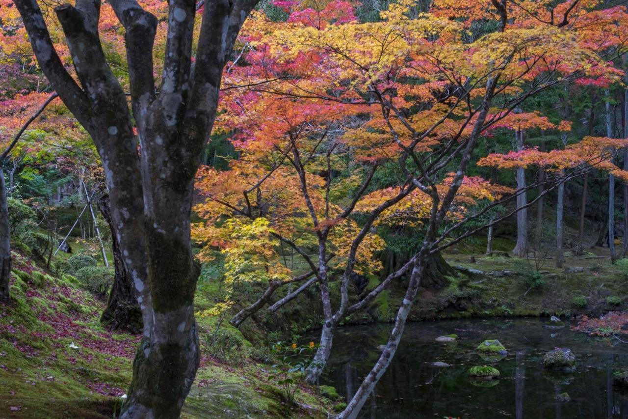 Hotel Arrows Arashiyama Kyoto Luaran gambar