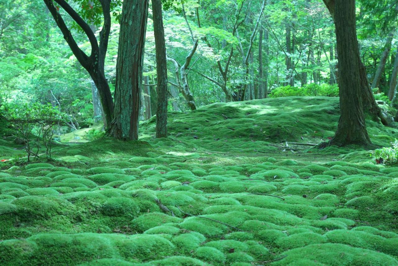 Hotel Arrows Arashiyama Kyoto Luaran gambar